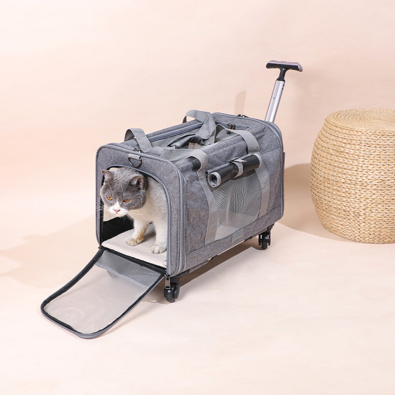 Travel Pet Carrier