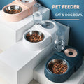 Dogs Cats Bowl and Drinking Fountains with Automatic Water Outlet Anti-overturning