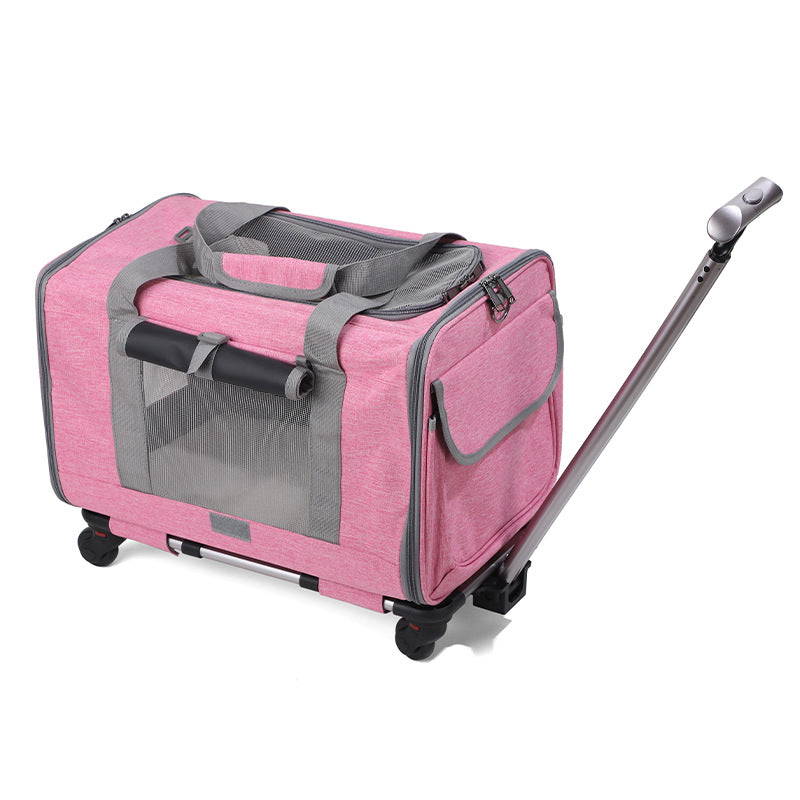 Travel Pet Carrier