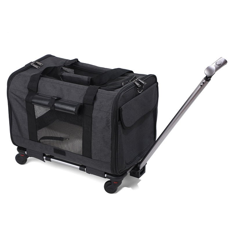 Travel Pet Carrier