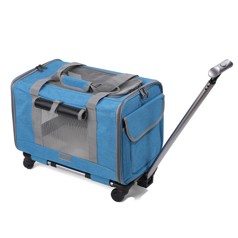 Travel Pet Carrier