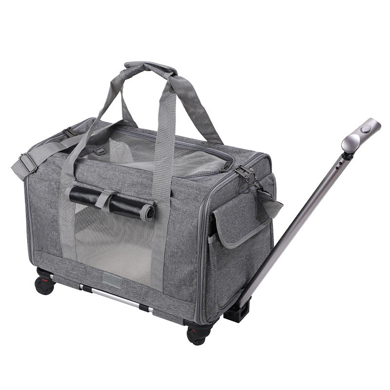 Travel Pet Carrier