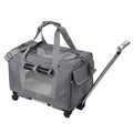 Travel Pet Carrier