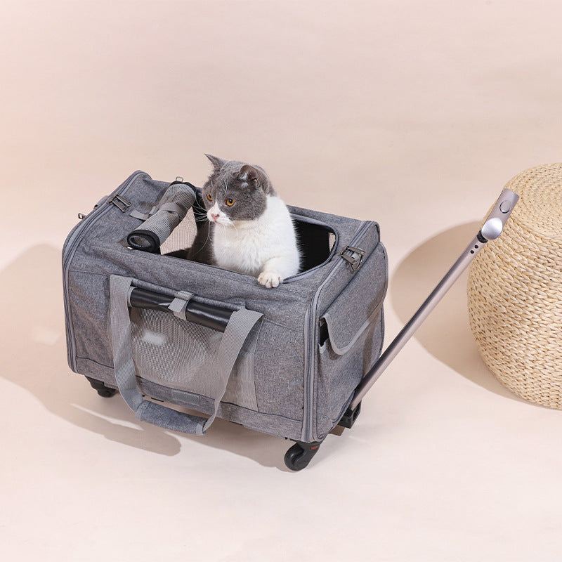 Travel Pet Carrier