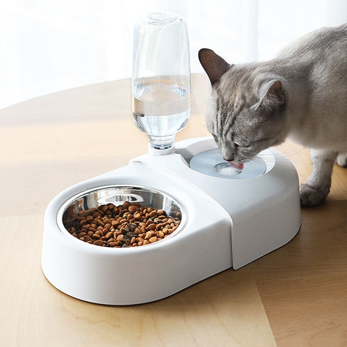 Dogs Cats Bowl and Drinking Fountains with Automatic Water Outlet Anti-overturning