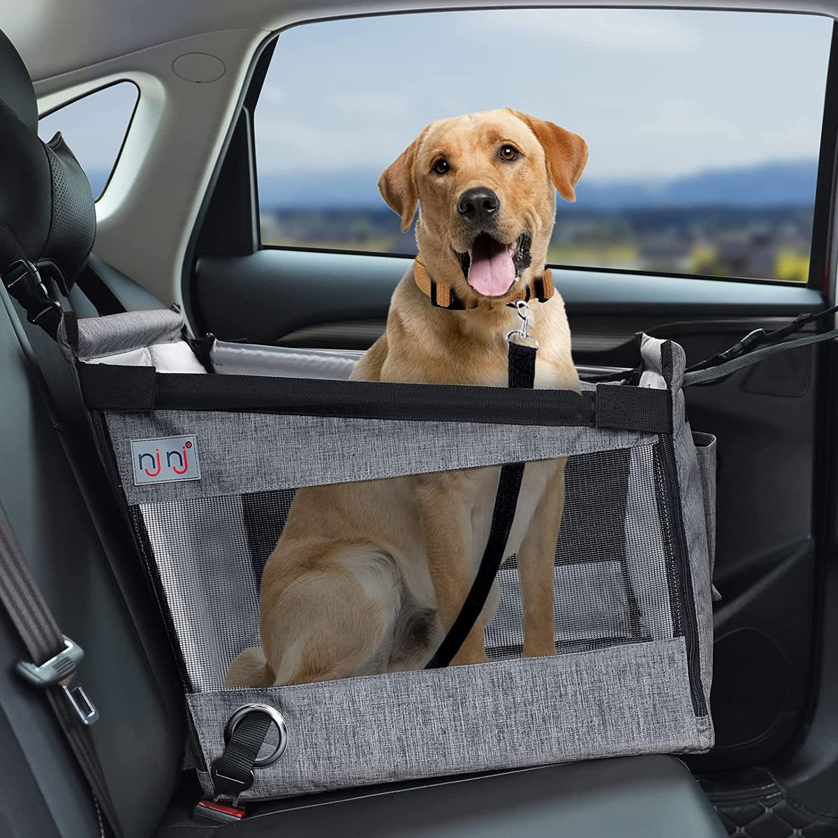 Car Pet Cage